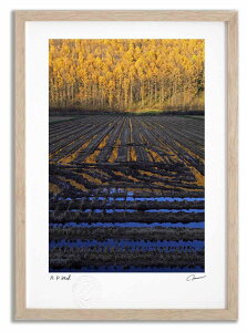 yX[p[SALEzzA[gtHg G J}c̍gtƓc1 ^/CeA z z i G |X^[ A[g A[gpl rO  v[g _ A[gt