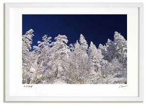 A[gtHg G \x̃X^[2 ^/CeA z z i G |X^[ A[g A[gpl rO  v[g _ A[gt[   