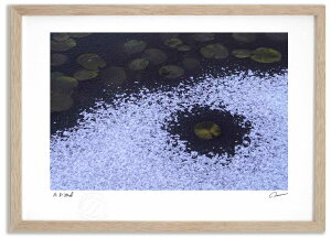 A[gtHg G @ɏ2 ^/CeA z z i G |X^[ A[g A[gpl rO  v[g _ A[gt[   Ǌ| G