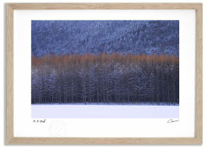 �A�[�g�t�H�g �G�� �J���}�c��2 �����^��/�C���e���A �z���� �z���� ���i�� ���G �|�X�^�[ �A�[�g �A�[�g�p�l�� ���r���O ���� �v���[���g ���_�� �A�[�g�t���[�� ���� ������� �Ǌ|�� �G