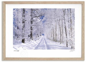 �A�[�g�t�H�g �G�� ���X�̏��� �����^��/�C���e���A �z���� �z���� ���i�� ���G �|�X�^�[ �A�[�g �A�[�g�p�l�� ���r���O ���� �v���[���g ���_�� �A�[�g�t���[�� ���� ������� �Ǌ|�� �G