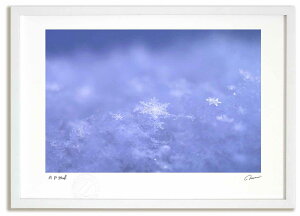 A[gtHg G xXg ̌3 ^/CeA z z i G |X^[ A[g A[gpl rO  v[g _ A[gt[   Ǌ| 