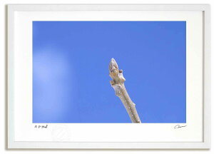 yX[p[SALEzzA[gtHg G N~̓~2 ^/CeA z z i G |X^[ A[g A[gpl rO  v[g _ A[gt[ 