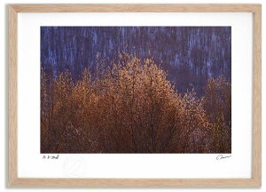 A[gtHg G [Ɍ˂Ȃ1 ^/CeA z z i G |X^[ A[g A[gpl rO  v[g _ A[gt[   