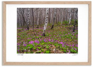 �A�[�g�t�H�g �G�� �J�^�N��11 �����^��/�C���e���A �z���� �z���� ���i�� ���G �|�X�^�[ �A�[�g �A�[�g�p�l�� ���r���O ���� �v���[���g ���_�� �A�[�g�t���[�� ���� ������� �Ǌ|�� �G