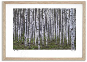 �A�[�g�t�H�g �G�� ����2 �����^��/�C���e���A �z���� �z���� ���i�� ���G �|�X�^�[ �A�[�g �A�[�g�p�l�� ���r���O ���� �v���[���g ���_�� �A�[�g�t���[�� ���� ������� �Ǌ|�� �G