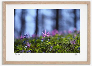 A[gtHg G J^N12 ^/CeA z z i G |X^[ A[g A[gpl rO  v[g _ A[gt[   Ǌ| G