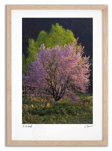 yI|Cg100obNzA[gtHg G 11 ^/CeA z z i G |X^[ A[g A[gpl rO  v[g _ A[gt[  