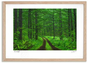 yX[p[SALEzzA[gtHg G V΂̃J}c3 ^/CeA z z i G |X^[ A[g A[gpl rO  v[g _ A[gt[ 