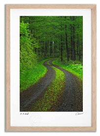 アートフォト 絵画 壁掛け 新緑のカラマツ林6 高橋真澄/インテリア 壁掛け 額入り 額装込 風景画 油絵 ポスター アート アートパネル リビング 玄関 プレゼント モダン アートフレーム おしゃれ 飾る Mサイズ 巣ごもり