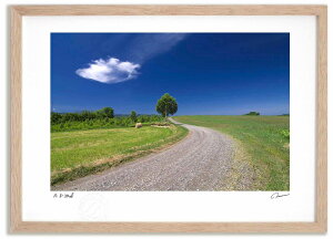 yX[p[SALEzzA[gtHg G Ɖ_Ɩ ^/CeA z z i G |X^[ A[g A[gpl rO  v[g _ A[gt[  