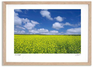 �A�[�g�t�H�g �G�� �L�K���V��10 �����^��/�C���e���A �z���� �z���� ���i�� ���G �|�X�^�[ �A�[�g �A�[�g�p�l�� ���r���O ���� �v���[���g ���_�� �A�[�g�t���[�� ���� ������� �Ǌ|�� �G