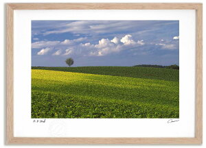 A[gtHg G H̓ ^/CeA z z i G |X^[ A[g A[gpl rO  v[g _ A[gt[   Ǌ| G