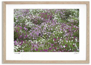 A[gtHg G RXX3 ^/CeA z z i G |X^[ A[g A[gpl rO  v[g _ A[gt[   Ǌ| G