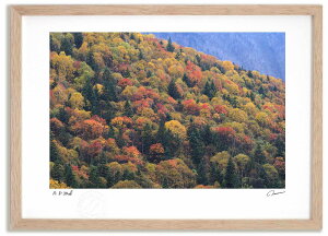 yX[p[SALEzzA[gtHg G gt̑R1 ^/CeA z z i G |X^[ A[g A[gpl rO  v[g _ A[gt[ 