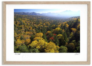 yX[p[SALEzzA[gtHg G O̍gt1/my ^/CeA z z i G |X^[ A[g A[gpl rO  v[g _ A[gt