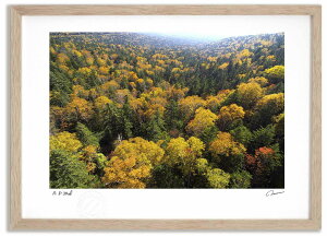 yX[p[SALEzzA[gtHg G O̍gt2/my ^/CeA z z i G |X^[ A[g A[gpl rO  v[g _ A[gt