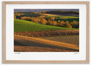 A[gtHg G xXg H̋u5 ^/CeA z z i G |X^[ A[g A[gpl rO  v[g _ A[gt[   Ǌ| G