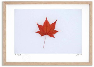 �A�[�g�t�H�g �G�� �V��Ɨ����t1 �����^��/�C���e���A �z���� �z���� ���i�� ���G �|�X�^�[ �A�[�g �A�[�g�p�l�� ���r���O ���� �v���[���g ���_�� �A�[�g�t���[�� ���� ������� �Ǌ|�� �G