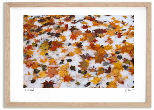 �A�[�g�t�H�g �G�� �V��Ɨ����t2 �����^��/�C���e���A �z���� �z���� ���i�� ���G �|�X�^�[ �A�[�g �A�[�g�p�l�� ���r���O ���� �v���[���g ���_�� �A�[�g�t���[�� ���� ������� �Ǌ|�� �G