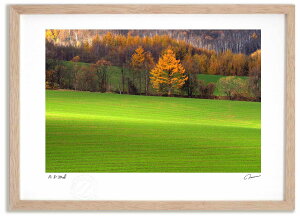 yX[p[SALEzzA[gtHg G J}c̍gt6 ^/CeA z z i G |X^[ A[g A[gpl rO  v[g _ A[gt[ 