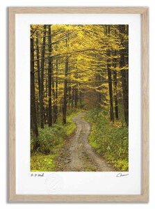 yX[p[SALEzzA[gtHg G gt̃J}c3/xǖ쒬 ^/CeA z z i G |X^[ A[g A[gpl rO  v[g _ A[g