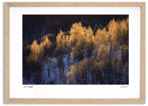 【抽選ポイント100%バック】アートフォト 絵画 黄金色の霧氷 高橋真澄/インテリア 額入り 額装込 風景画 油絵 ポスター アート アートパネル リビング 玄関 プレゼント モダン アートフレー