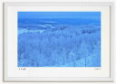 【スーパーSALE半額】アートフォト 絵画 霧氷の森6 高橋真澄/インテリア 額入り 額装込 風景画 油絵 ポスター アート …