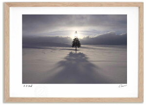 A[gtHg G NX}Xc[̖؂̗[5 ^/CeA z z i G |X^[ A[g A[gpl rO  v[g _ A[gt[  