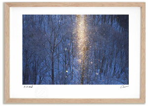 yI|Cg100obNzA[gtHg G Ts[25 ^/CeA z z i G |X^[ A[g A[gpl rO  v[g _ A[gt[