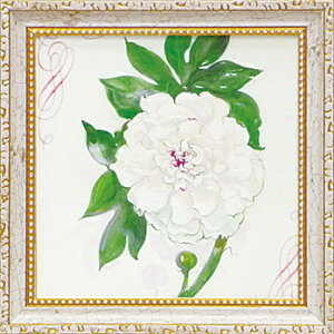 䂤pPbg ~jQ A[gt[ GbT f sA[i uXm[ sIj[v/CeA  z z i G |X^[ A[g ۔h M r[` A[gpl r