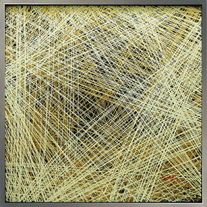 yX[p[SALE10OFFzG A[g AuXgNg4/CeA z z i G |X^[ A[g A[gpl rO  v[g _ A[gt[  5LTCY 
