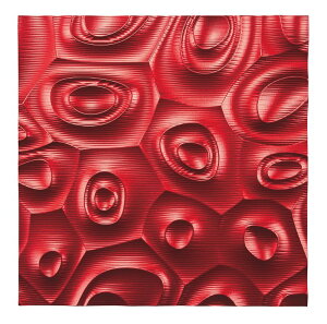 Ǌ| vfbN EH[ A[g lrX (^bh)/CeA Ǌ| z z i G |X^[ A[g A[gpl rO  v[g _ A[gt[