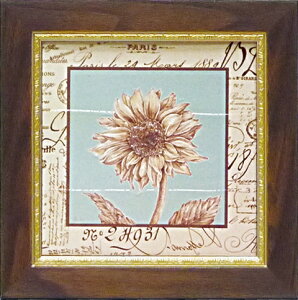 ~jQ A[gt[ 䂤pPbg RX^XGut`[2v/CeA  z z G |X^[ A[g ۔h M r[` A[gpl rO  v