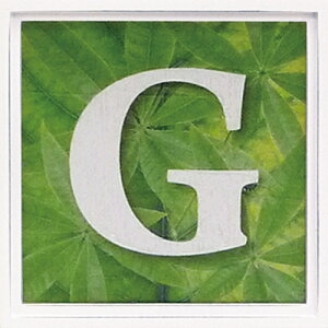 yI|Cg100obNzA[gt[ At@xbg A[gt[ O[/CeA z z i G |X^[ A[g A[gpl rO  v[g _
