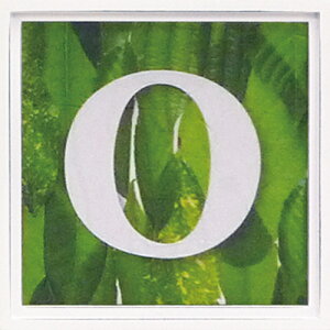 yI|Cg100obNzA[gt[ At@xbg A[gt[ O[/CeA z z i G |X^[ A[g A[gpl rO  v[g _