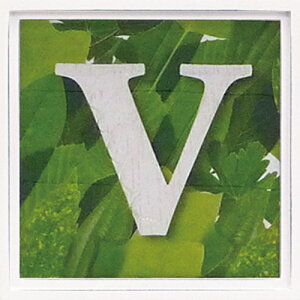 yX[p[SALE10OFFzA[gt[ At@xbg A[gt[ O[/CeA z z i G |X^[ A[g A[gpl rO  v[g _ A[