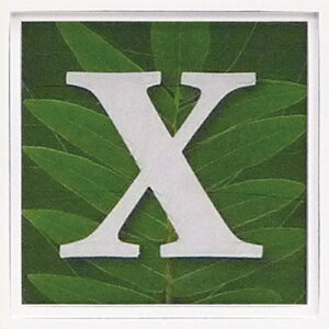 yI|Cg100obNzA[gt[ At@xbg A[gt[ O[/CeA z z i G |X^[ A[g A[gpl rO  v[g _