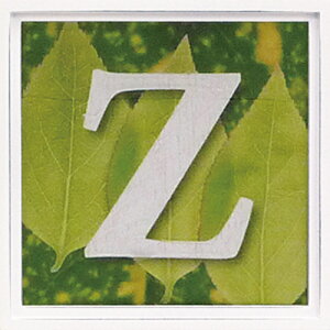 A[gt[ At@xbg A[gt[ O[/CeA z z i G |X^[ A[g A[gpl rO  v[g _ A[gt[  STC