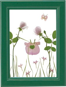 G RsGeX@ R[EF xr[/䂤pPbg CeA z z i G |X^[ A[g A[gpl rO  v[g _ A[gt[  S