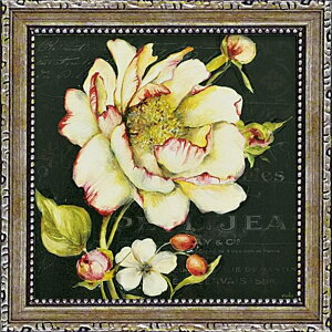 G 䂤pPbg ~jQ A[gt[ X^WI tB[mu_XN t[1v/CeA  z G |X^[ A[g ۔h M r[` A[gpl rO  v