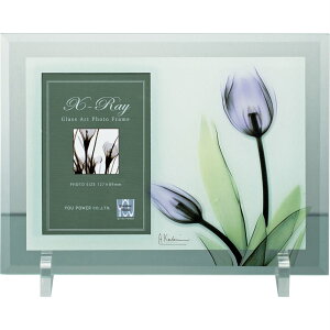 tHgt[ X RAY tHgt[u`[bvv䂤pPbg /CeA  t[ XtHg A[g rO  Q v[g  R _ STCY a Mtg 