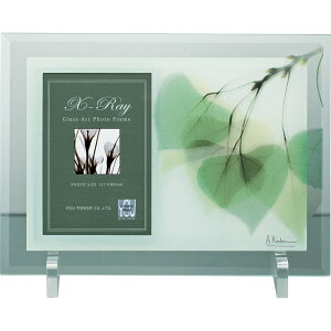 yI|Cg100obNztHgt[ X RAY tHgt[u[t1v䂤pPbg /CeA  t[ XtHg A[g rO  Q v[g  R _ STC