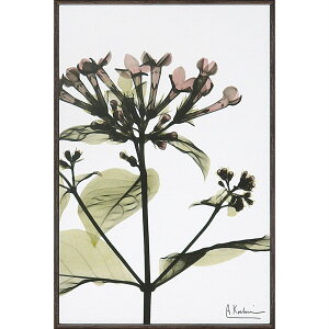 LoXA[g X RAY LoXA[guuofBAiSTCYjv䂤pPbg /CeA z z i |X^[ A[g Vv_ mg[ A[gpl rO 