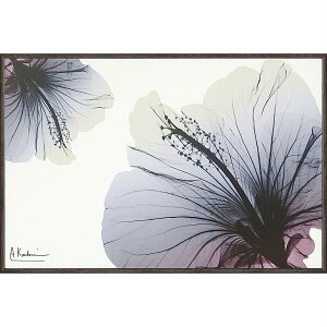 yX[p[SALE10OFFzLoXA[g X RAY LoXA[gunCrXJXiSTCYjvCeA z z i |X^[ A[g Vv_ mg[ A[gpl 