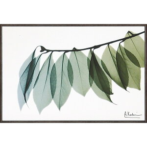 yX[p[SALE10OFFzLoXA[g X RAY LoXA[gu[t2iSTCYjv䂤pPbg /CeA z z i |X^[ A[g Vv_ mg[ A[gp