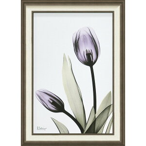 LoXA[g X RAY LoXA[gu`[bviMTCYjv/CeA z z i |X^[ A[g Vv_ mg[ A[gpl rO  v[