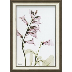 LoXA[g X RAY LoXA[guTrAiMTCYjv/CeA z z i |X^[ A[g Vv_ mg[ A[gpl rO  v[g  