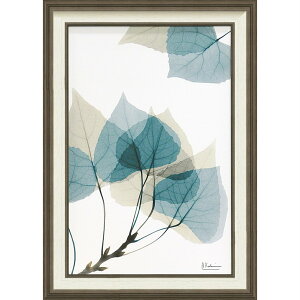 LoXA[g X RAY LoXA[gu[t1iMTCYjv/CeA z z i |X^[ A[g Vv_ mg[ A[gpl rO  v[g  LL