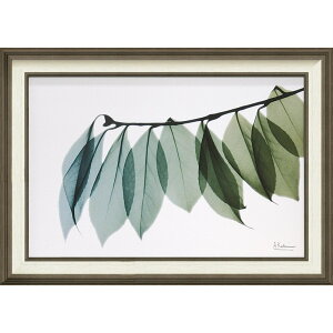 LoXA[g X RAY LoXA[gu[t2iMTCYjv/CeA z z i |X^[ A[g Vv_ mg[ A[gpl rO  v[g  LL